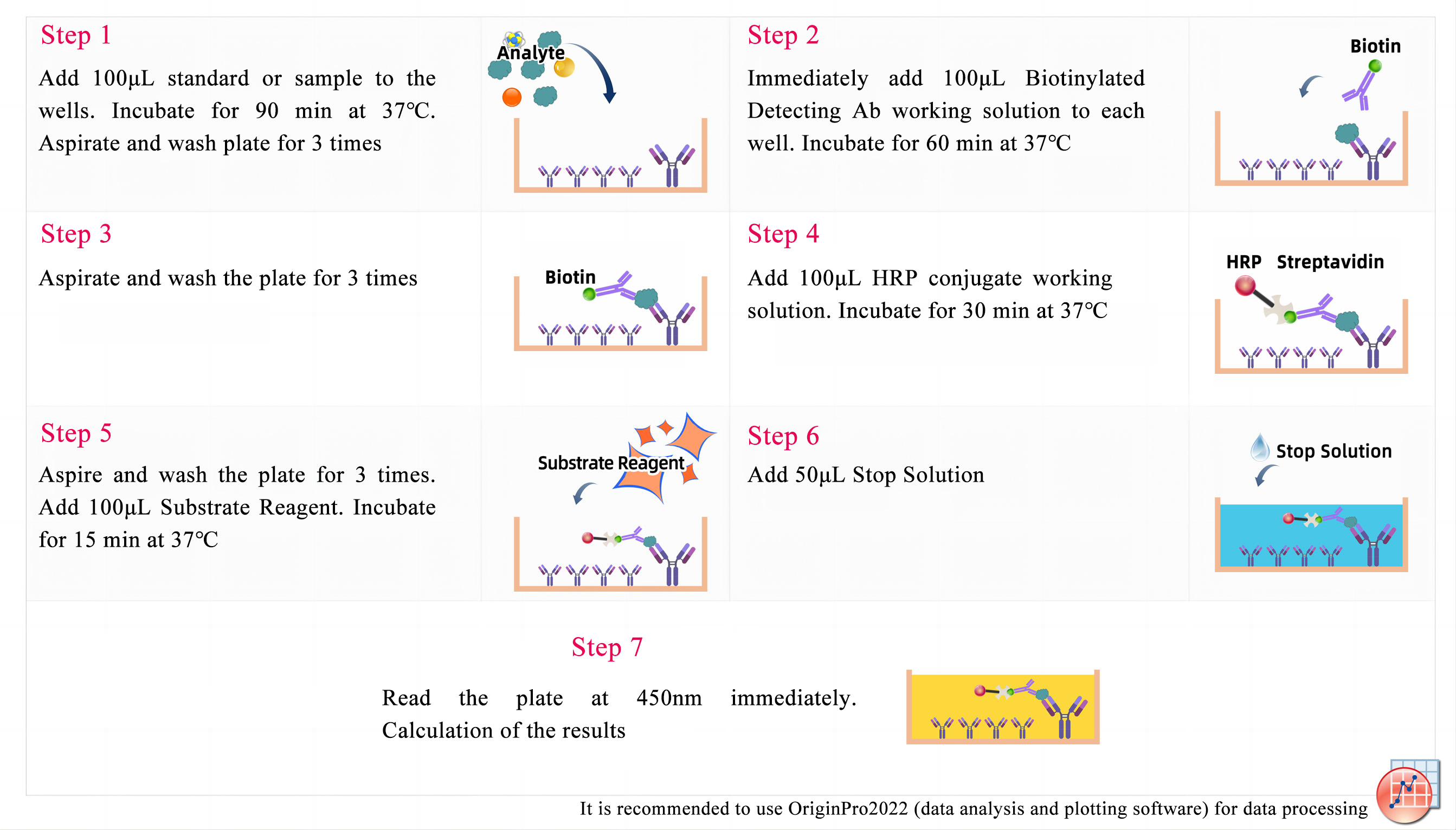 Four Types Of Elisa Assay